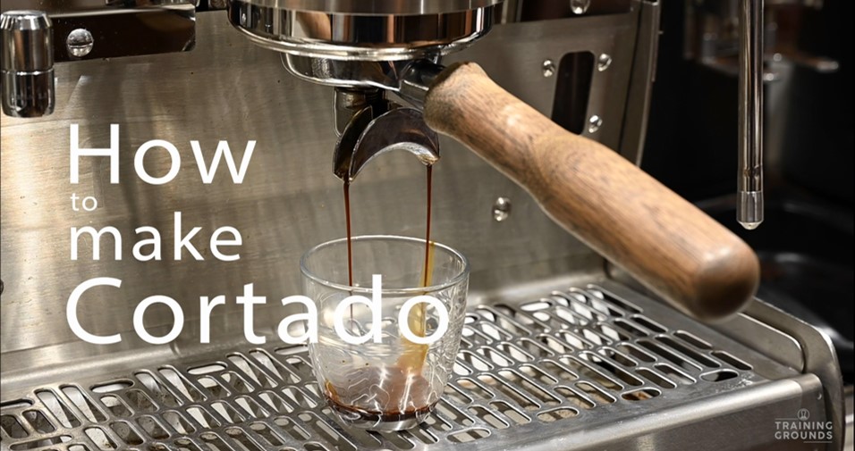 How To Use The Steam Wand To Froth Milk - Tecnora Blog