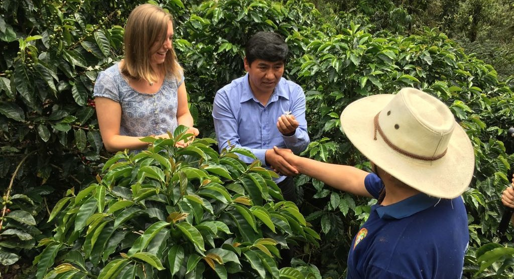 Amy Oroko Working with coffee farmers