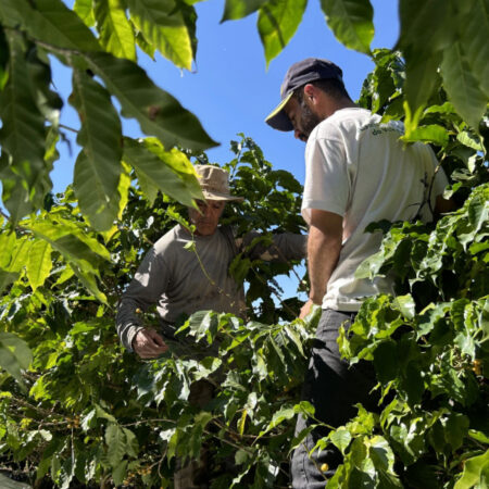 Fairtrade Farmers in Brazil