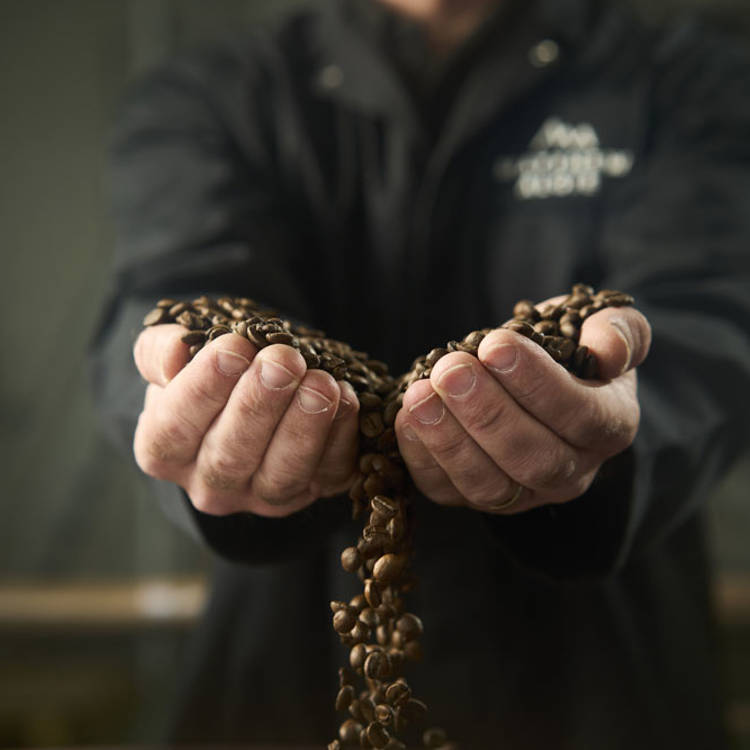 Matthew Algie Coffee