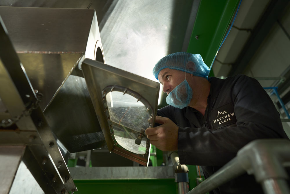 Matthew Algie Coffee Roastery 