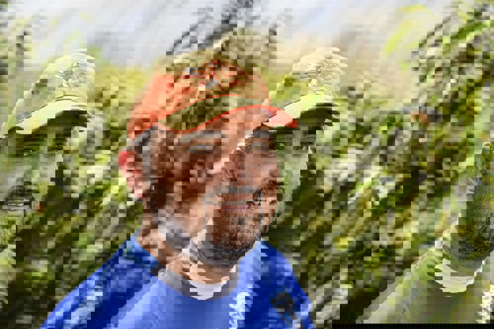 Matthew Algie Coffee Origins