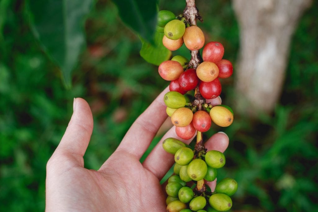 Smallholder farmers and the Impact of Climate Change