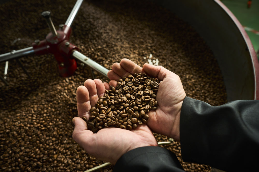 Matthew Algie Employee holding Coffee Beans in hands
