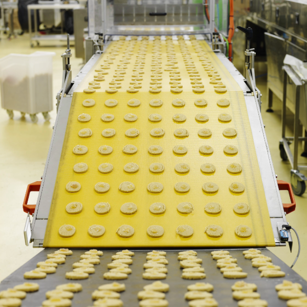 Biscuit factory line at Island Bakery